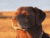 1758850105908.png
