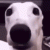 IMG_3080.gif