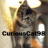 curiouscat98